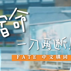 宿命一刀两断【Fate超元气中文版】