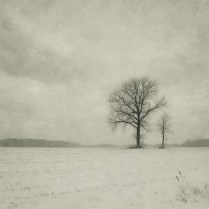 I told you i need love