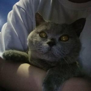 洋葱(吉他版)（翻自 杨宗纬）