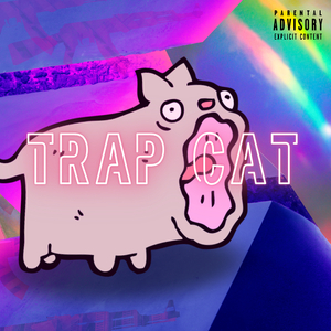 Trap Cat
