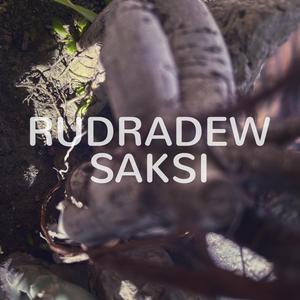Saksi
