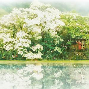 너를 위해为了你【步步惊心丽OST】（Cover ）