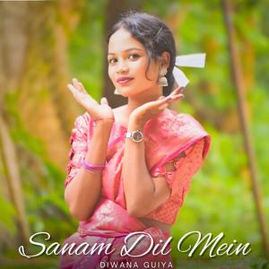 Sanam Dil Mein