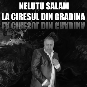 LA CIRESUL DIN GRADINA
