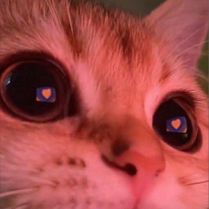 Spin Back X Cardboard Box