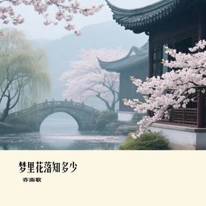 梦里花落知多少
