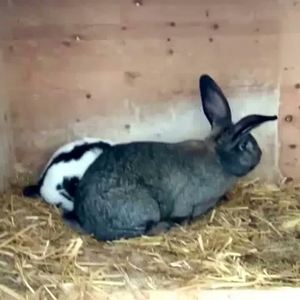 14 🤣🤣🤣💯 by 𝗠❰