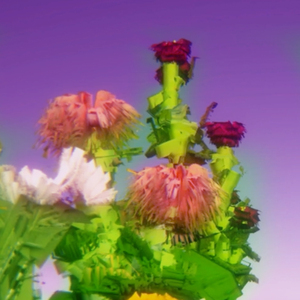 opringning (Acoustic)