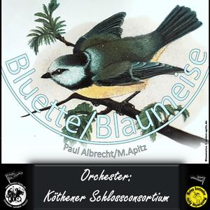 Bluette – Blaumeise (Manfred Apitz + Orchester Köthen) [PDF-Noten kostenlos noten-apitz.de]