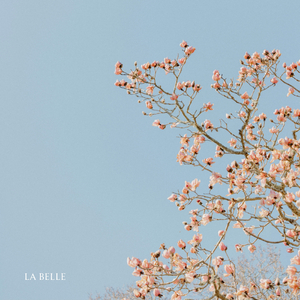 La Belle