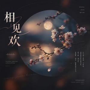 如果天有情 (R&B版)