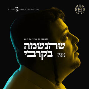 Shehaneshomo B'kirbi