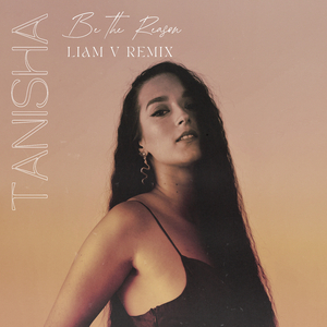 Be The Reason (Liam V Remix)