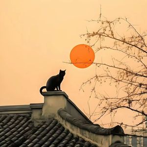 秋天不回来