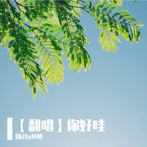 你好哇（cover：玄觞）