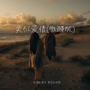 类似爱情(微醺版)