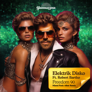 Freedom 90 (feat. Robert Bartko) [Miami Funk Affair Radio Edit]