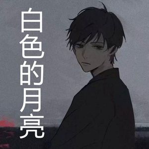 白色的月亮