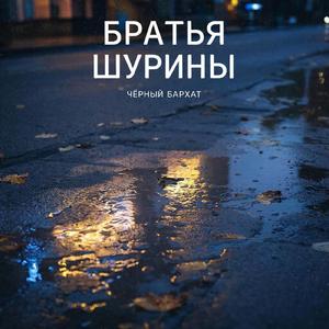 Чёрный бархат