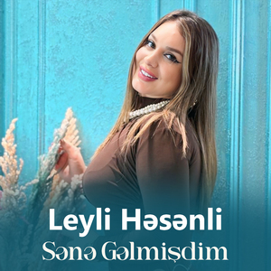 Sənə Gəlmişdim