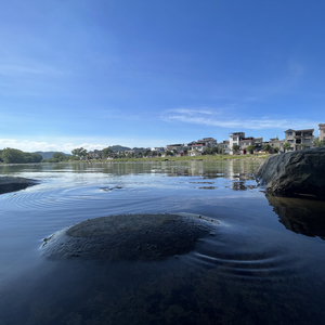 七月上  7.26日 早7点25分
