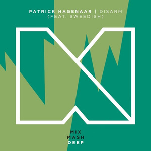 Disarm (Original Mix)