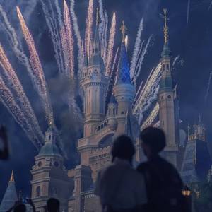 胸大的姑娘（cover：留声玩具）