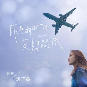 孤单的时候又想起你