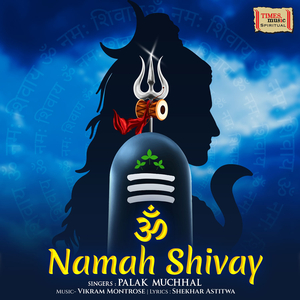 Om Namah Shivay