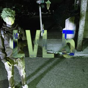 LVL 5