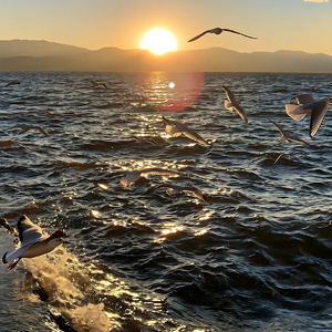 是否和我一样怀念从前