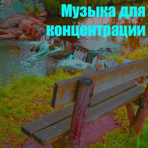 ?????? ??? ???????????? 4 (???? ??? ??)