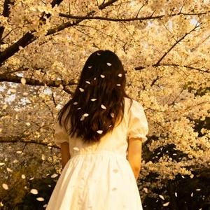 明明你也爱我吧 不然怎么不说话