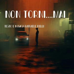 Non Torni mai