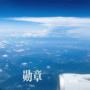 勋章 (Cover 鹿晗)