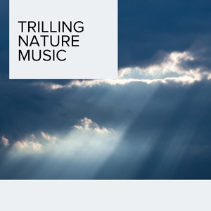 Melody of Rain Raging Thunder