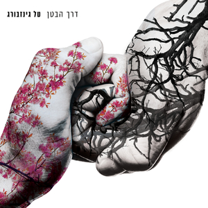 דרך הבטן (גרסת רדיו)