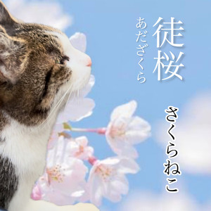 徒桜 あだざくら