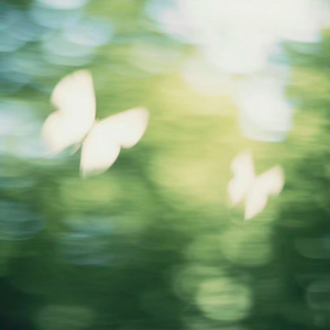 我要你 (我要你在我身旁)