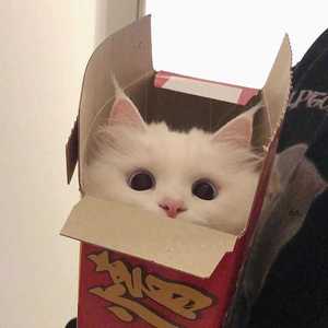 想我的时候听这歌