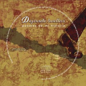 Guitarra, piano y la voz (feat. Valeria Olivares Piraíno)