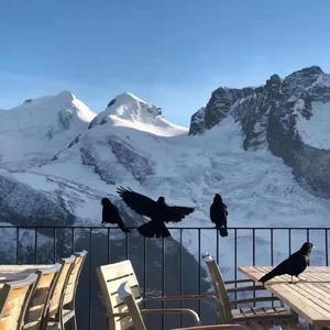 麒麟姐姐-WAVE（Look别发呆）(prod by 张杰峻)