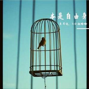 本是自由身