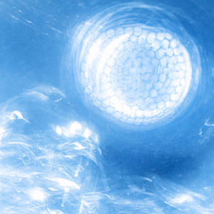 Vapor (Main)