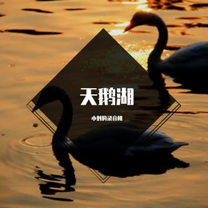 天鹅湖