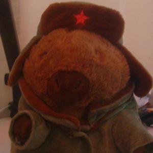 我的卡皮巴拉 (My Capybara)