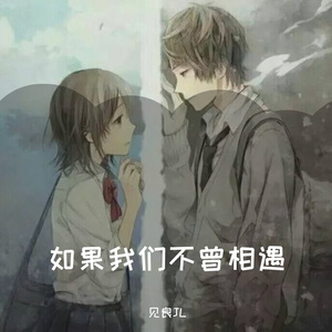 如果我们不曾相遇