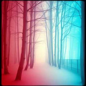 在黎明等待你归来