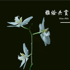 人间自有说