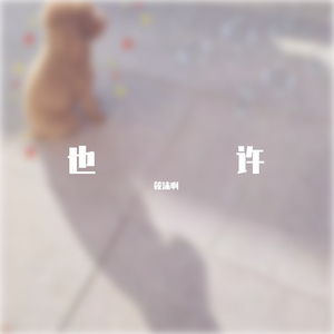也许